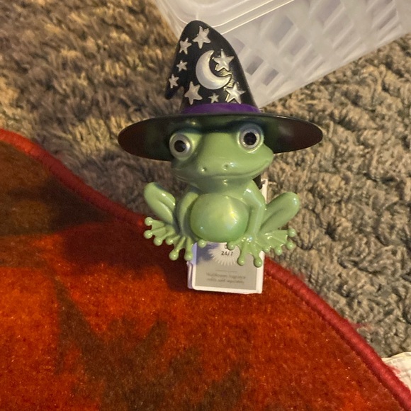 Other - Light up frog wallflower
